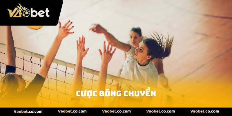 Cược Bóng Chuyền