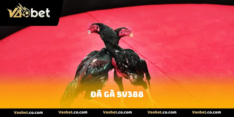 Đá Gà SV388