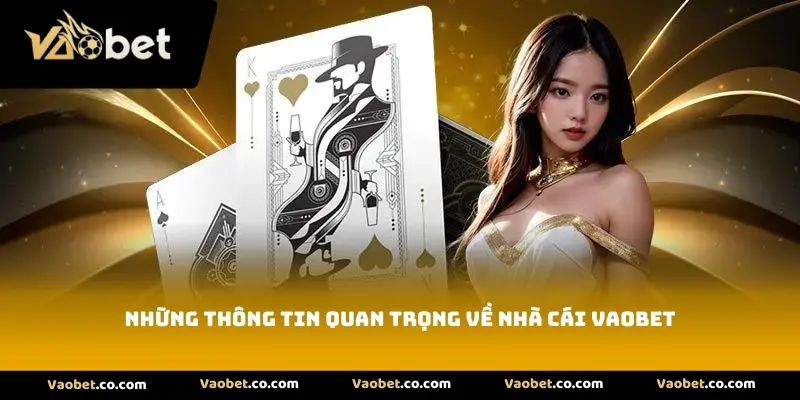 Những thông tin quan trọng về nhà cái Vaobet